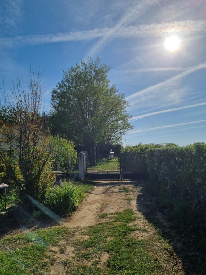 Les 3 Cedres Villa Miramont-de-Guyenne Exterior photo